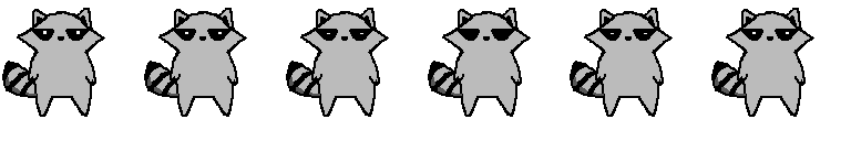 Raccoon